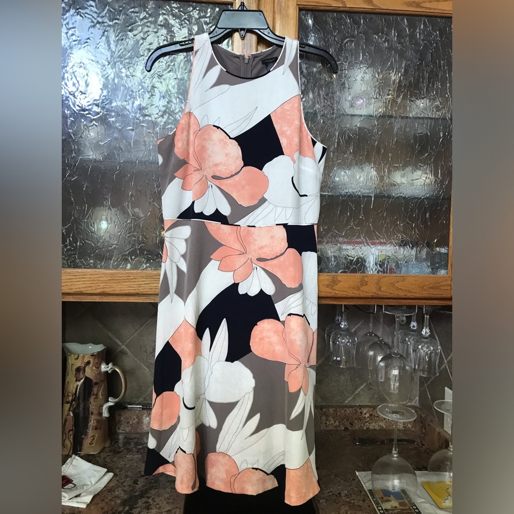 Ann Taylor dress
